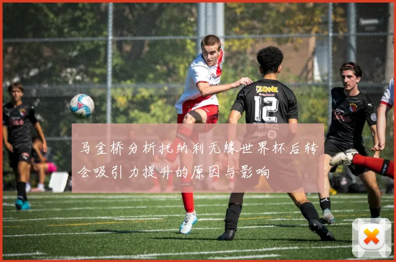 马金桥分析托纳利无缘世界杯后转会吸引力提升的原因与影响